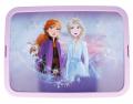 ÚLOŽNÝ BOX FROZEN 