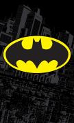 RUČNÍK BATMAN 
