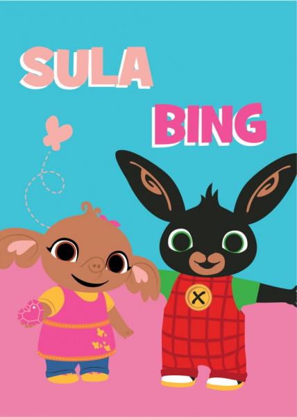 FLÍSOVÁ DEKA BING 