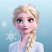 RUČNÍK NA RUCE FROZEN 