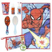 6 - DÍLNÁ HYGIENICKÁ TAŠTIČKA SPIDERMAN 